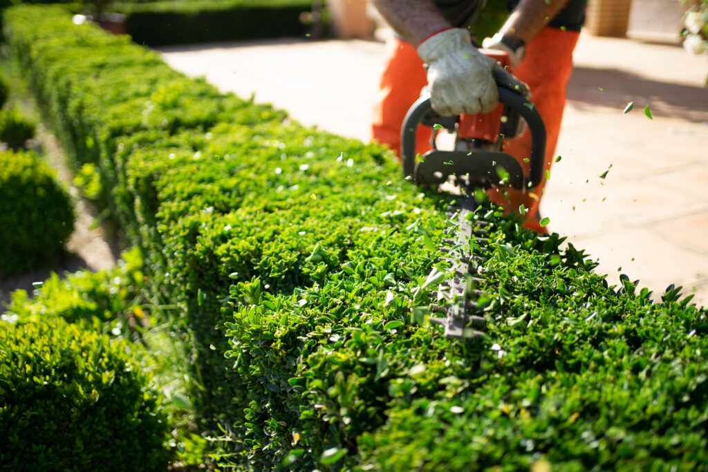 Hedge Trimming Perth